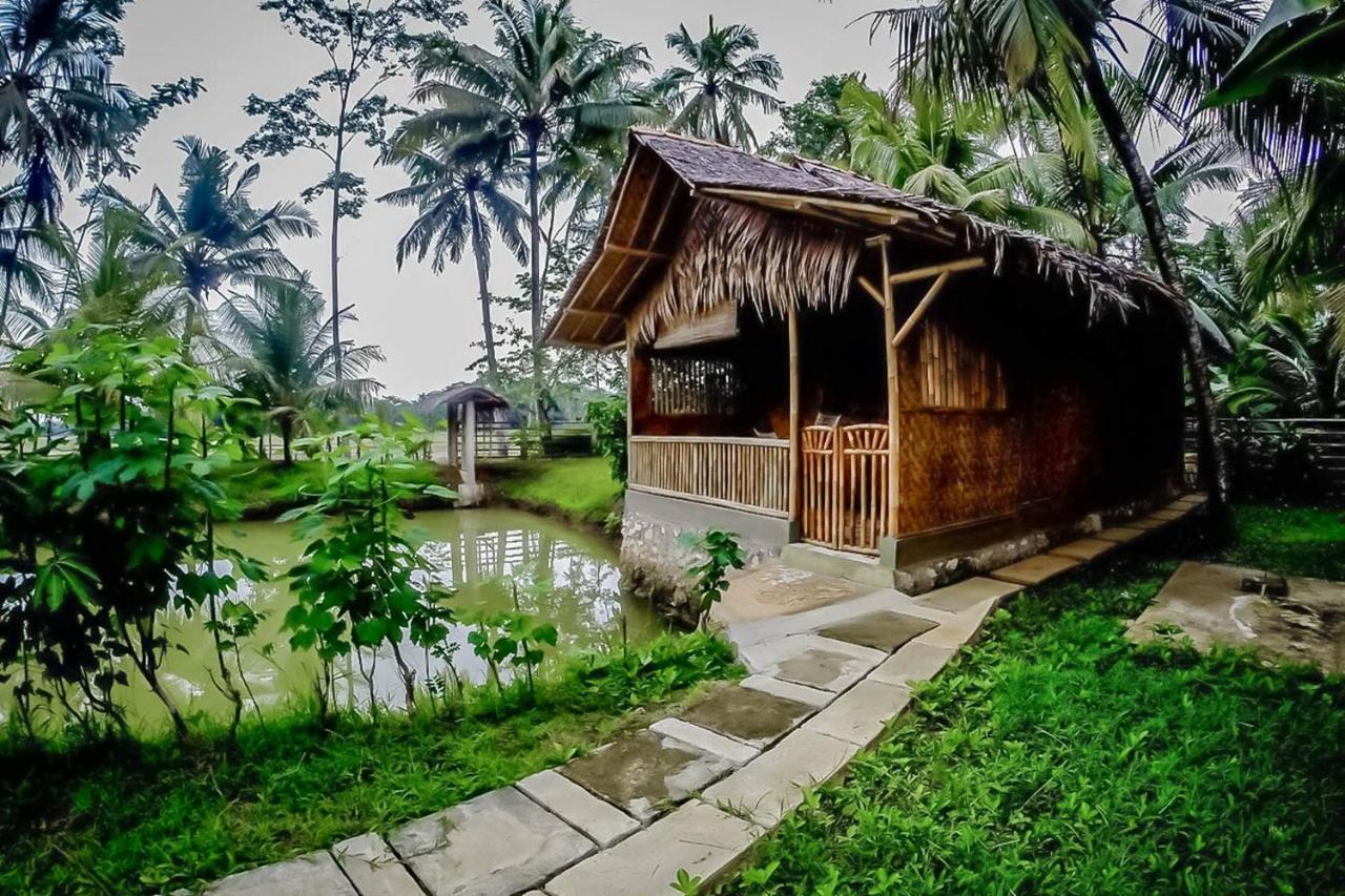 Baleku Bamboo Retreat Hotel Pangandaran Exterior photo